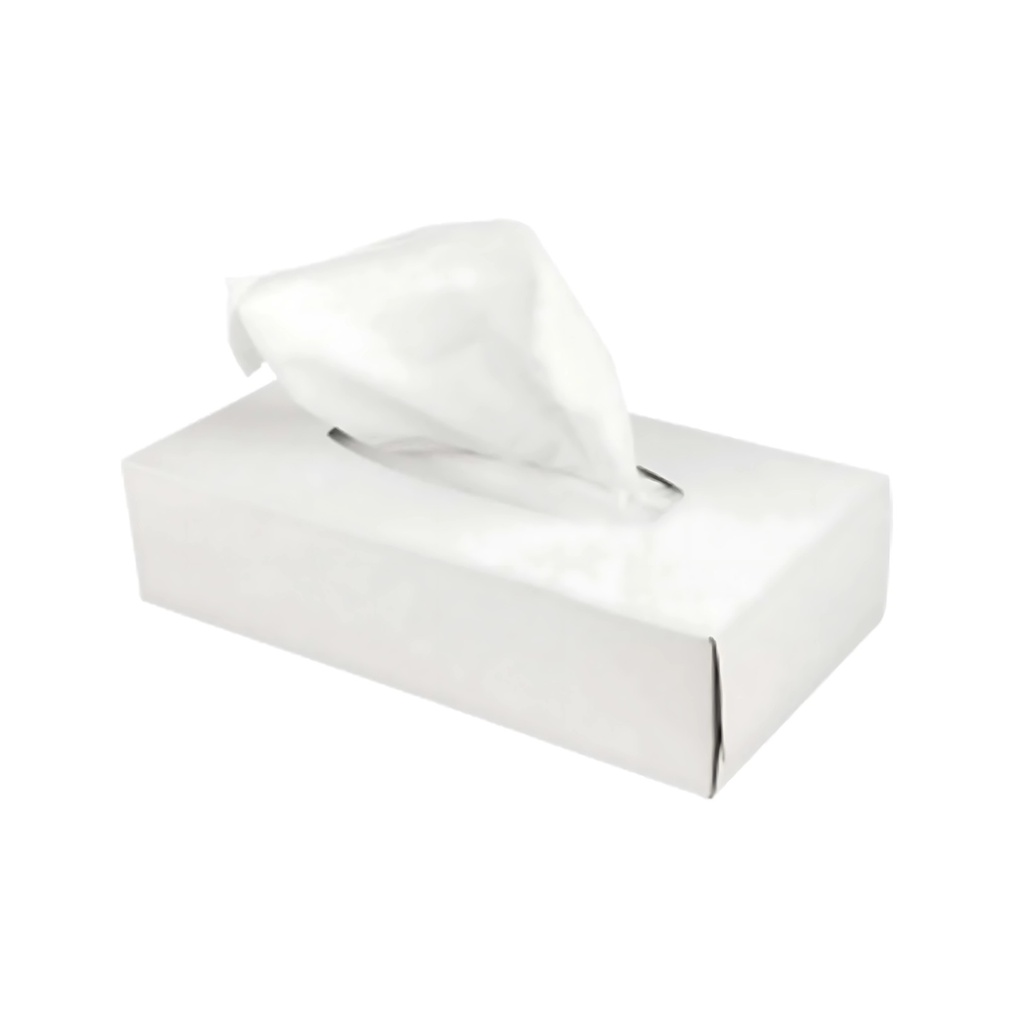Facial tissues rectangle - 100 2-layered tissues in case of 40