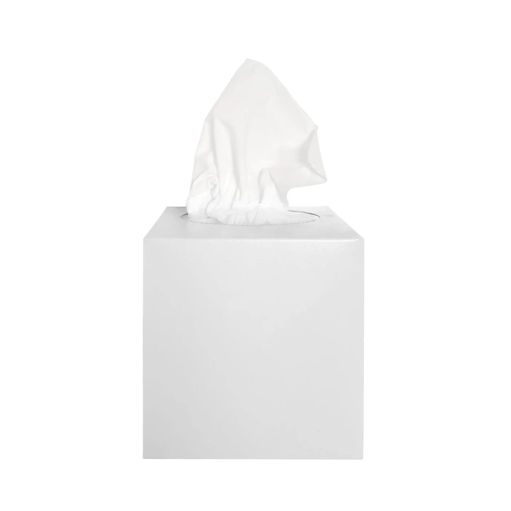 Facial tissues 80 sheets 2-layers cube box - 20 pieces in case of 20
