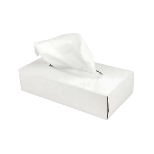[1030067] Facial tissues rectangle - 100 2-layered tissues in case of 40