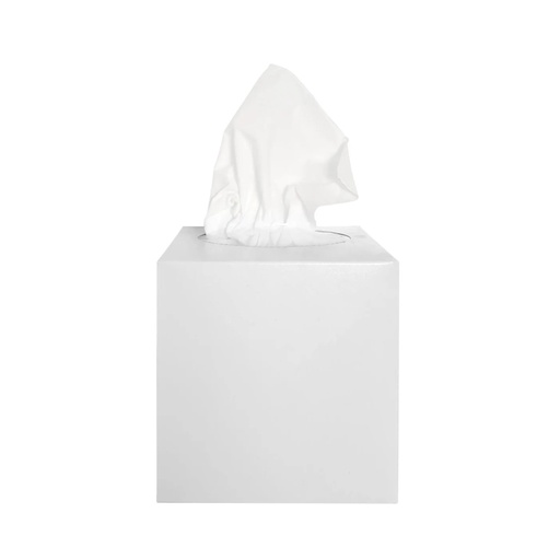 [1030072.20] Facial tissues 80 sheets 2-layers cube box - 20 pieces in case of 20